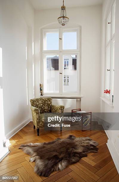 animal skin rug on wood floor in sitting room - porta revistas - fotografias e filmes do acervo