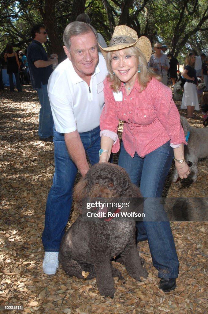 Southern California Labradoodle Romp and Picnic