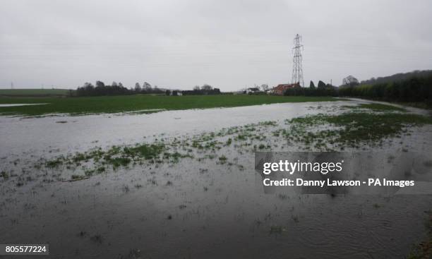 Plean Weather 43 Plean Stock Photos, High-Res Pictures, and Images - Getty Images