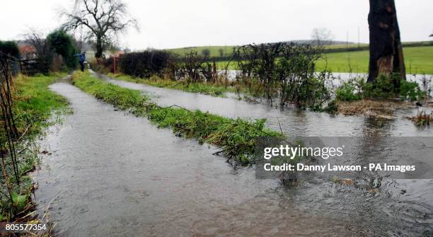 Plean Weather 43 Plean Stock Photos, High-Res Pictures, and Images - Getty Images