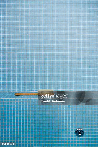 a plant in a blue tiled bathroom - bathroom tiles stock-fotos und bilder