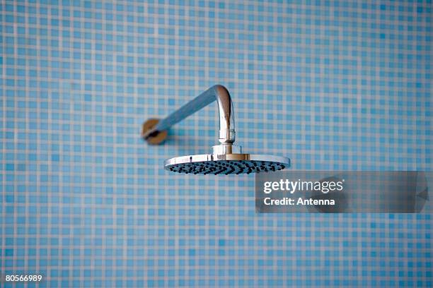 a shower head - blue bathroom stock pictures, royalty-free photos & images