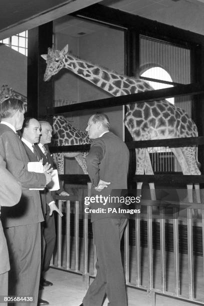 The Duke of Edinburgh chats to members of the accompanying party in the Giraffe House at London Zoo.