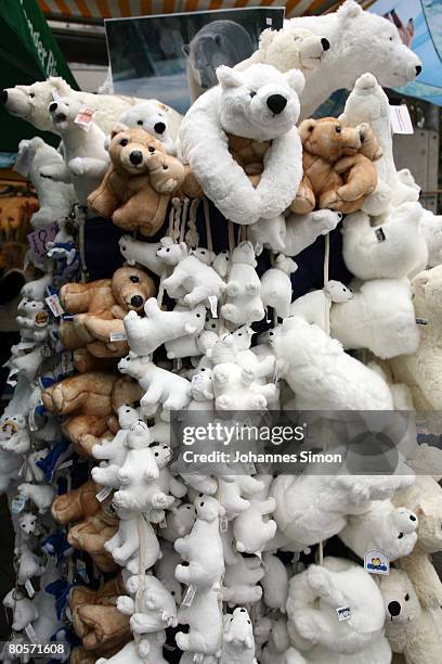 Toy polar bears, depicting Flocke, the three-month old polar bear cub, are displayed in front of a zoo shop at the Nuremberg Zoo on April 9, 2008 in...