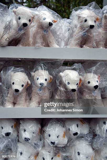Wrapped toy polar bears, depicting Flocke, the three-month old polar bear cub, are displayed in front of a zoo shop at the Nuremberg Zoo on April 8,...