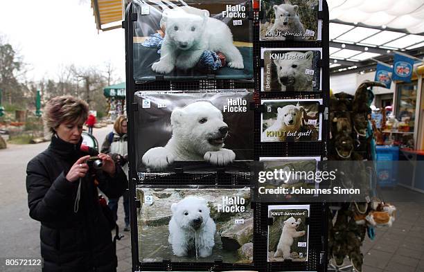 Postcards, depicting Flocke, the three-month old polar bear cub, are displayed in front of a zoo shop at the Nuremberg Zoo on April 8, 2008 in...