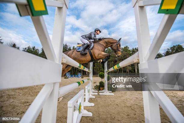 salta su un cavallo oltre l'ostacolo - equestrian show jumping foto e immagini stock