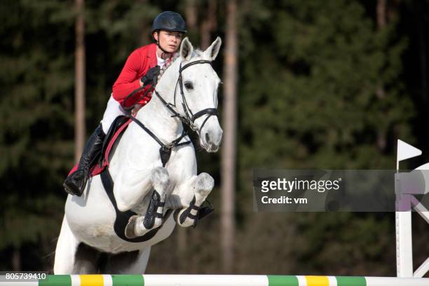 jump over the hurdle - dressage stock pictures, royalty-free photos & images