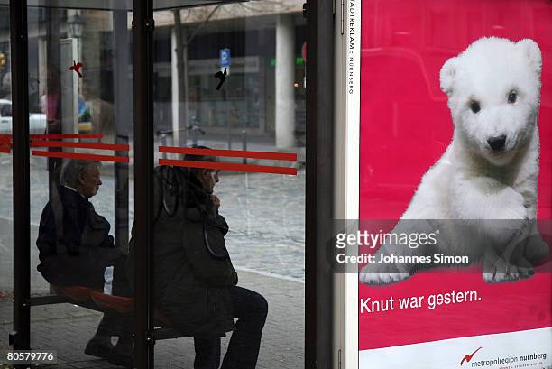 Placard, depicting Flocke , the three-month old polar bear cub, is seen in the Nuremberg inner city on April 8, 2008 in Nuremberg, Germany. After...