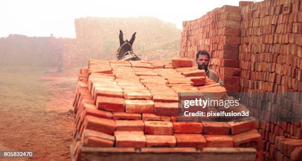 loaded cart of bricks - kiln stock pictures, royalty-free photos & images