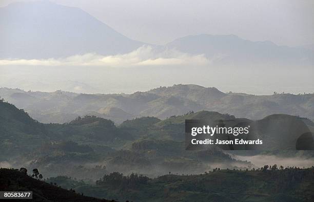 parc national des virunga-sud, democratic republic of the congo, border with uganda. - democratic republic of the congo stock pictures, royalty-free photos & images