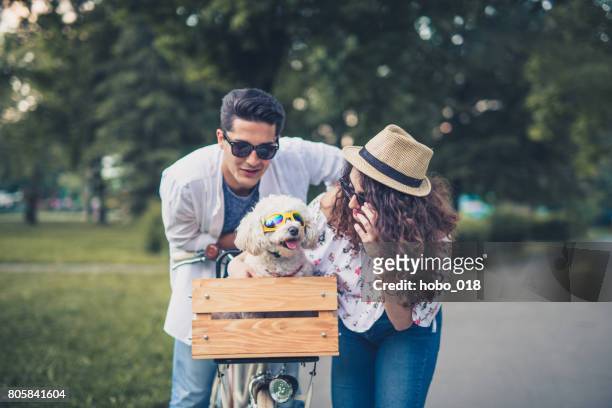 cute couple with their funny dog - sunglasses and puppies stock pictures, royalty-free photos & images