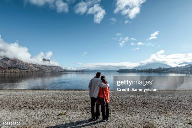 the wanaka tree - lago wanaka - fotografias e filmes do acervo