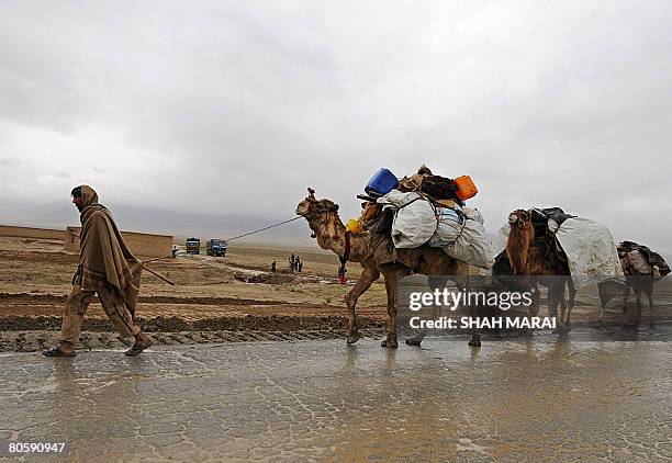 An Afghan Kochi nomad leads a camel caravan across Bagram air base, 50 km north of Kabul on April 10, 2008. The Kochi tribes traditionally use...