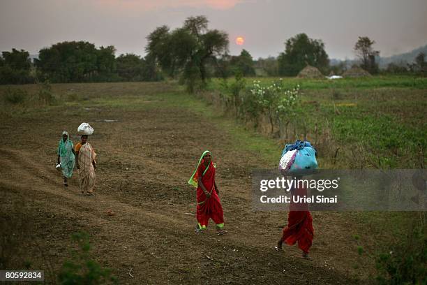 Women carry cotton bundles at the end of the work day on April 2008 in the village of Sunna in the Vidarbha region of Maharashtra state, India. A...