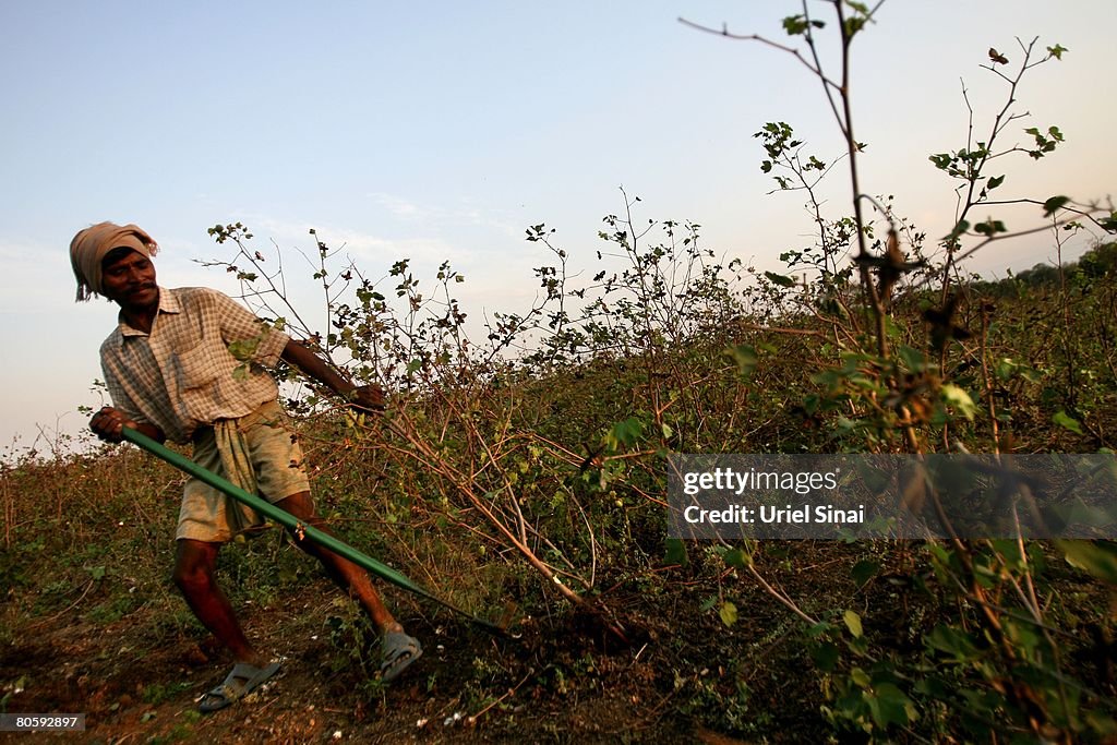 Crop Failures Provoke Suicides Amongst Indian Farmers