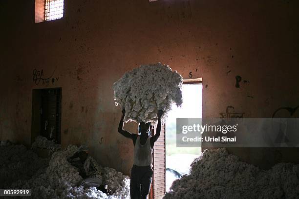 Worker carries cotton at a cotton factory on April 9, 2008 near the town of Yavatmal in the Vidarbha region in the Maharashtra state. A wave of...