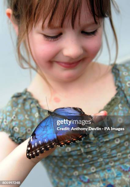 Ettie Rudd Ettie Photos and Premium High Res Pictures - Getty Images
