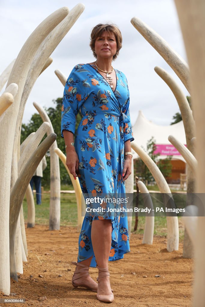 RHS Hampton Court Palace Flower Show 2017