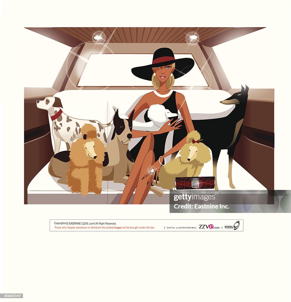 Woman sitting in a car with poodles