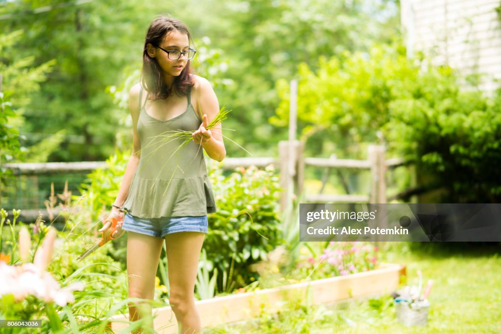 15-years-old teenager girl gardening at the backyard, cutting the weeds at the flower bed