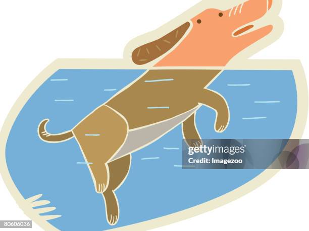 a dog treading water - exercise struggle stock illustrations