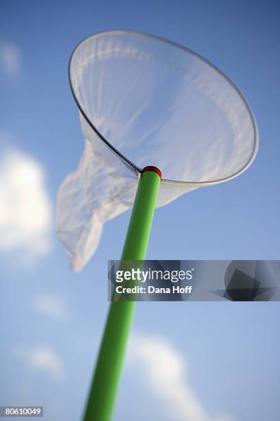 net and blue sky - butterfly net stock pictures, royalty-free photos & images