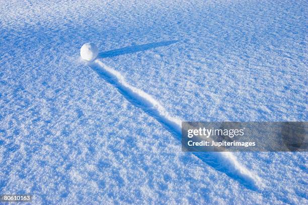 snowball in snow - de rola imagens e fotografias de stock