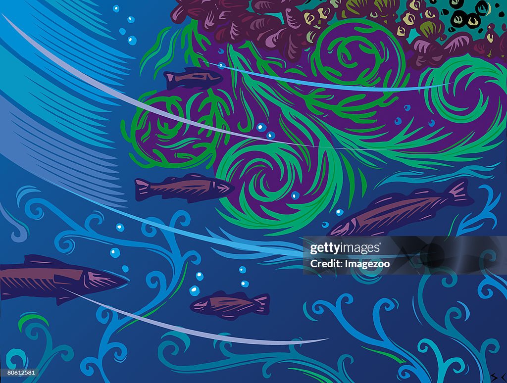 An illustration of the underwater world