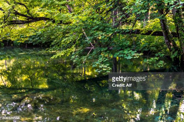 plitvice lakes national park, lika-senj county, karlovac county, croatia - kommunen lika senj bildbanksfoton och bilder