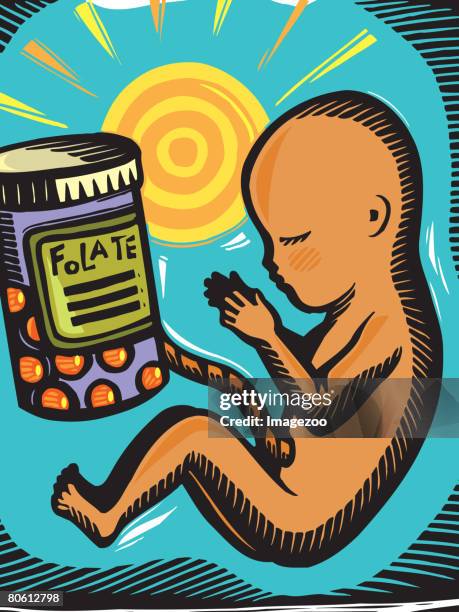 a fetus with the umbilical cord attached to folate - bright future stock illustrations