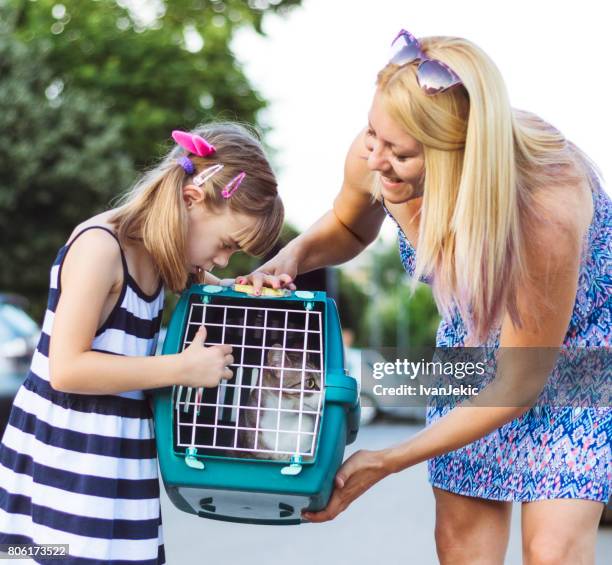 family members going to the vet's office - pet carrier stock pictures, royalty-free photos & images