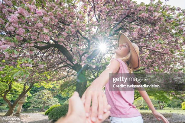 年輕女子在櫻花樹下握著男人的手 - cherry blossom in full bloom in tokyo 個照片及圖片檔