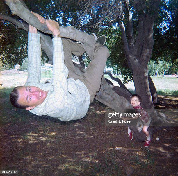 father and little son climbing on tree - 1950 1960 stock pictures, royalty-free photos & images