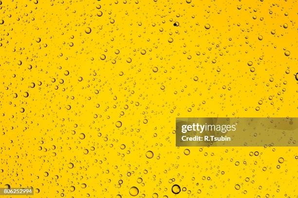 water raindrops on glass - beer white background stock-fotos und bilder