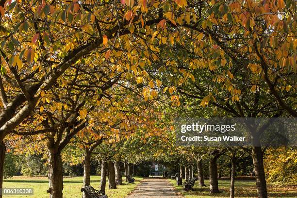 162 Combining Paths Stock Photos, High-Res Pictures, and Images - Getty ...