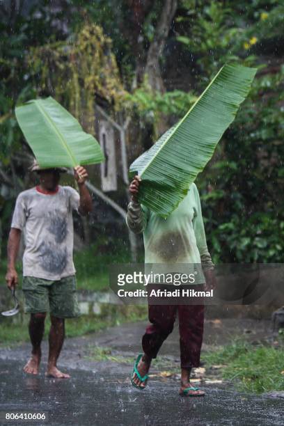 banana leaf as umbrella - asien rain forest fotografías e imágenes de stock