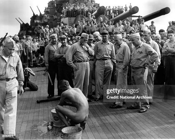 Delouse Deloused Photos and Premium High Res Pictures - Getty Images