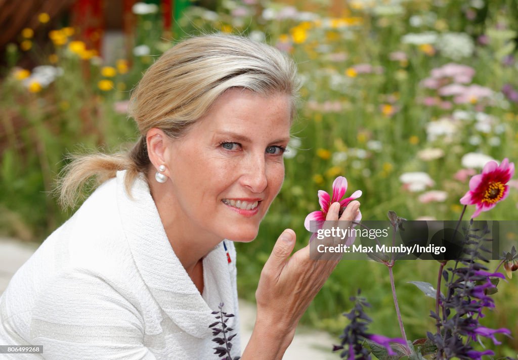 The Countess Of Wessex Visits The Blind Veterans UK Community Show Garden At Hampton Court Palace