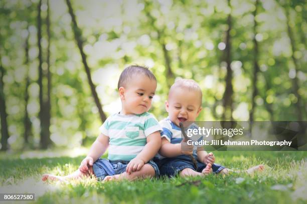 12 month beautiful fraternal twin babies sits in nature together - fraternal twin stock pictures, royalty-free photos & images