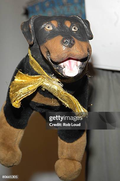 Triumph the Insult Comic Dog arrives for the "Night of Too Many Stars: An Overbooked Benefit for Autism Education" presented by Comedy Central at the...