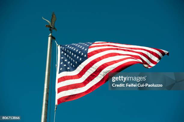 america flag and an eagle at reedsport, oregon state, usa - american flag eagle bildbanksfoton och bilder