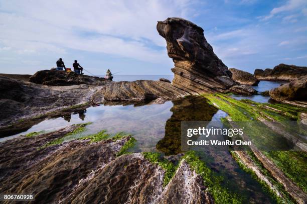 the fur seal rock on a beautiful beach - taiwan landscape stock pictures, royalty-free photos & images