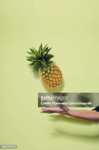 pineapple - パイナップル ストックフォトと画像