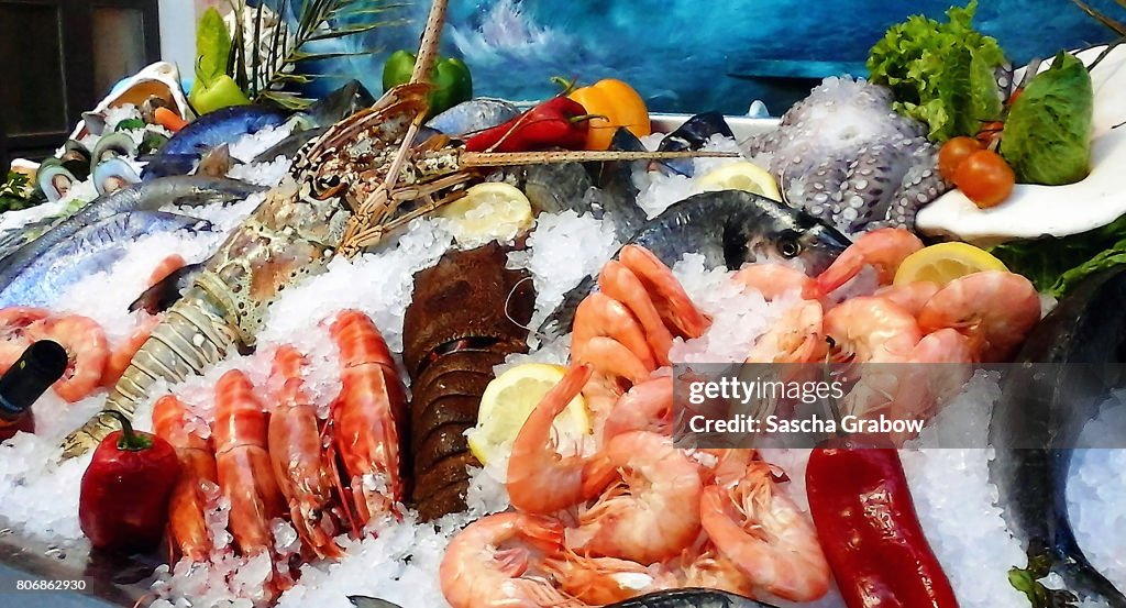 Sea Food Market Display