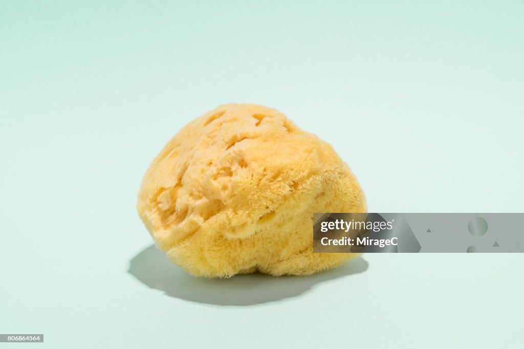 Natural Sponge