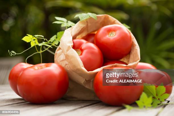 トマト屋外 - tomatoes ストックフォトと画像