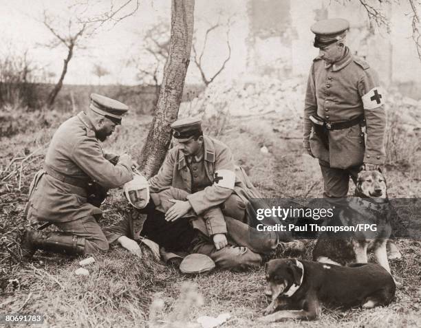 Members of the German Red Cross tend to a wounded soldier discovered by their sniffer dogs near Soissons during World War I, circa 1918.