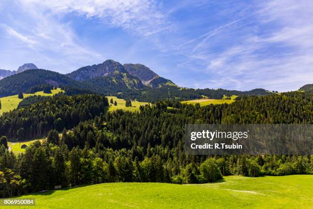 alps view, switzerland - saanen stock pictures, royalty-free photos & images