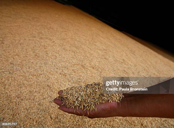 Piled Up Rice Pile Of Rice Photos and Premium High Res Pictures - Getty Images